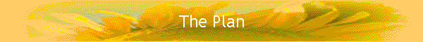 The Plan