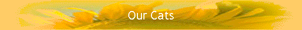 Our Cats